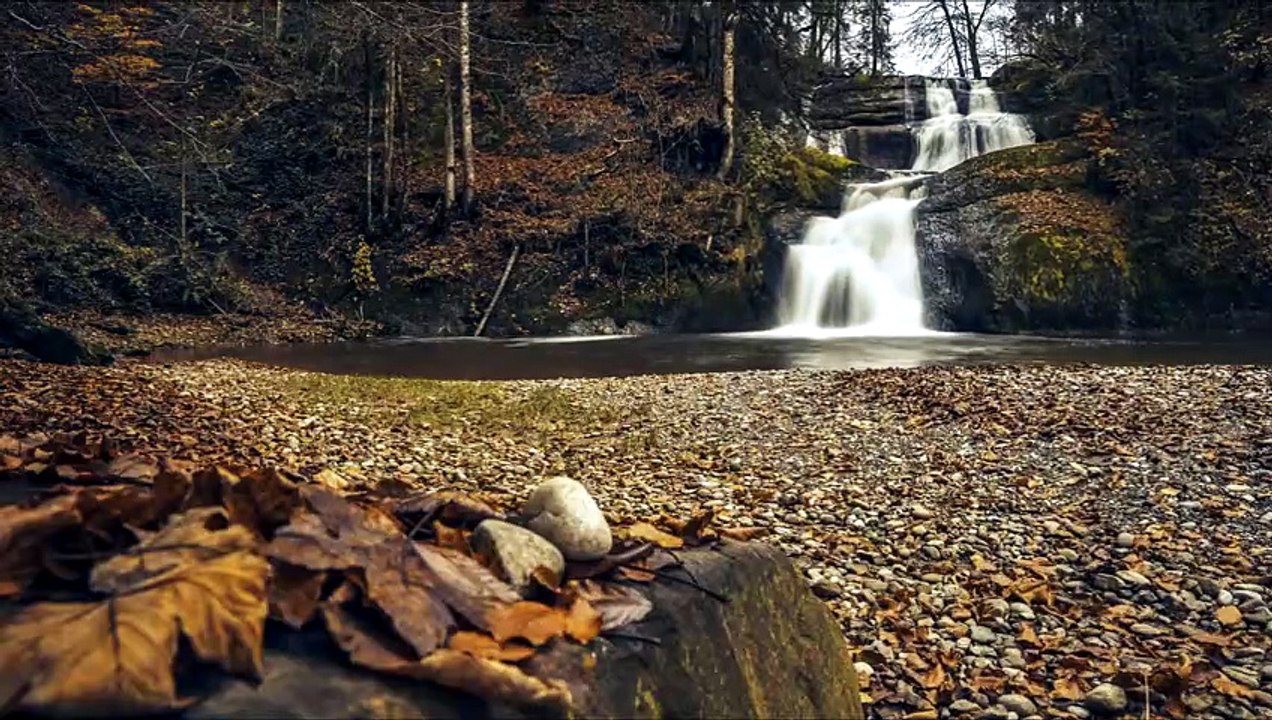 One Hour of Gentle Piano Serenity