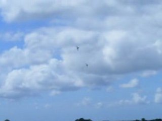 meeting aerien landivisiau 29.06 dans ts les sens