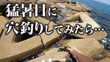 【穴釣り】猛暑日にテトラで穴釣りしてみたら…