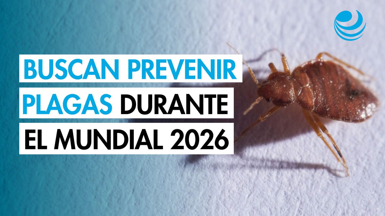 Mundial 2026: estadios en México refuerzan control de plagas y protección sanitaria para aficionados