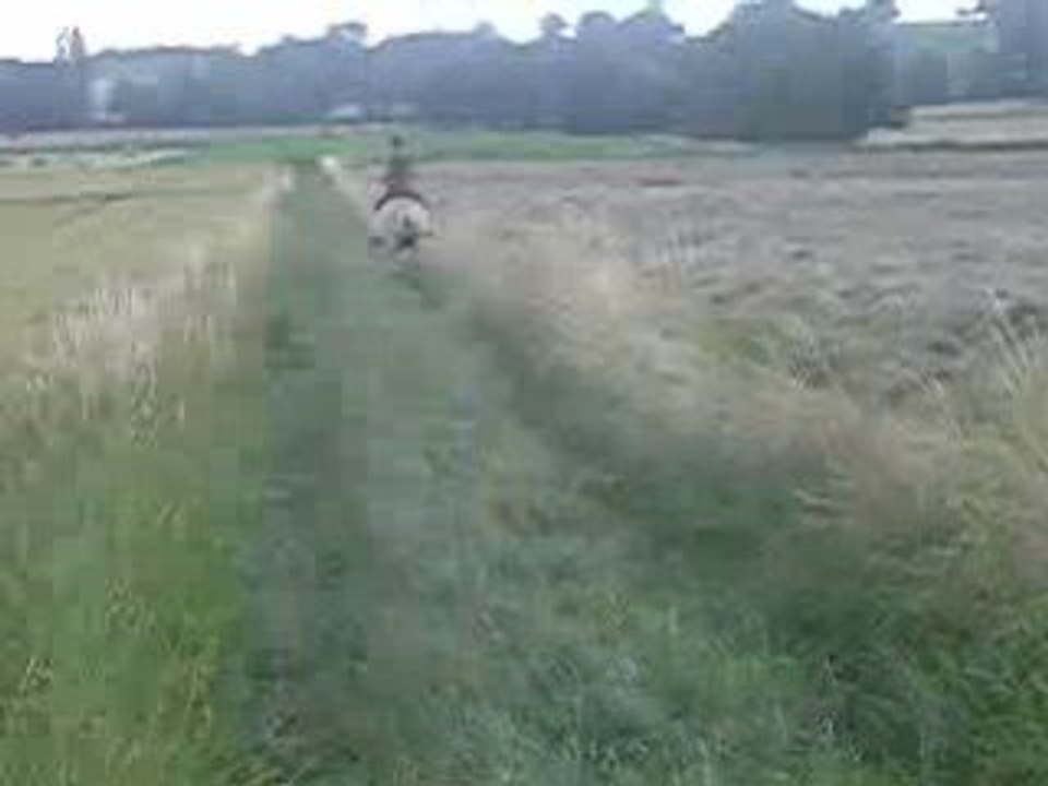 Démarrage au galop a cru ;) lol