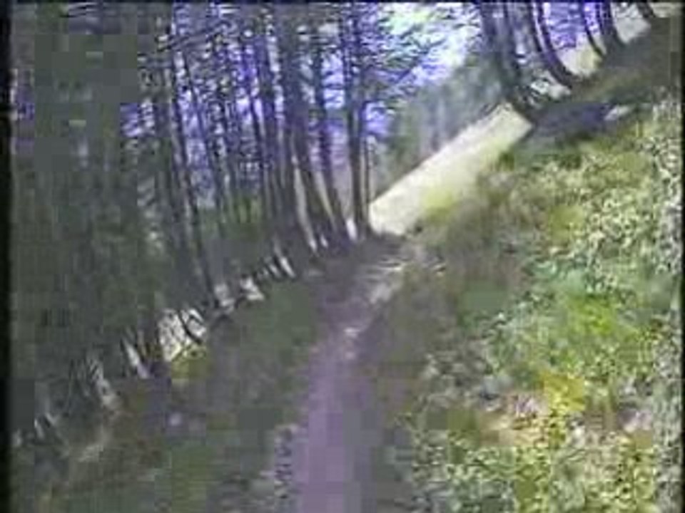 TRIBE 10000 Samedi matin 1