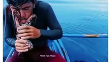 Stay Far Away From Alive Octopus 🦑