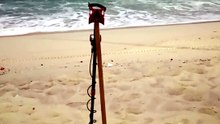 Início de caçada na praia