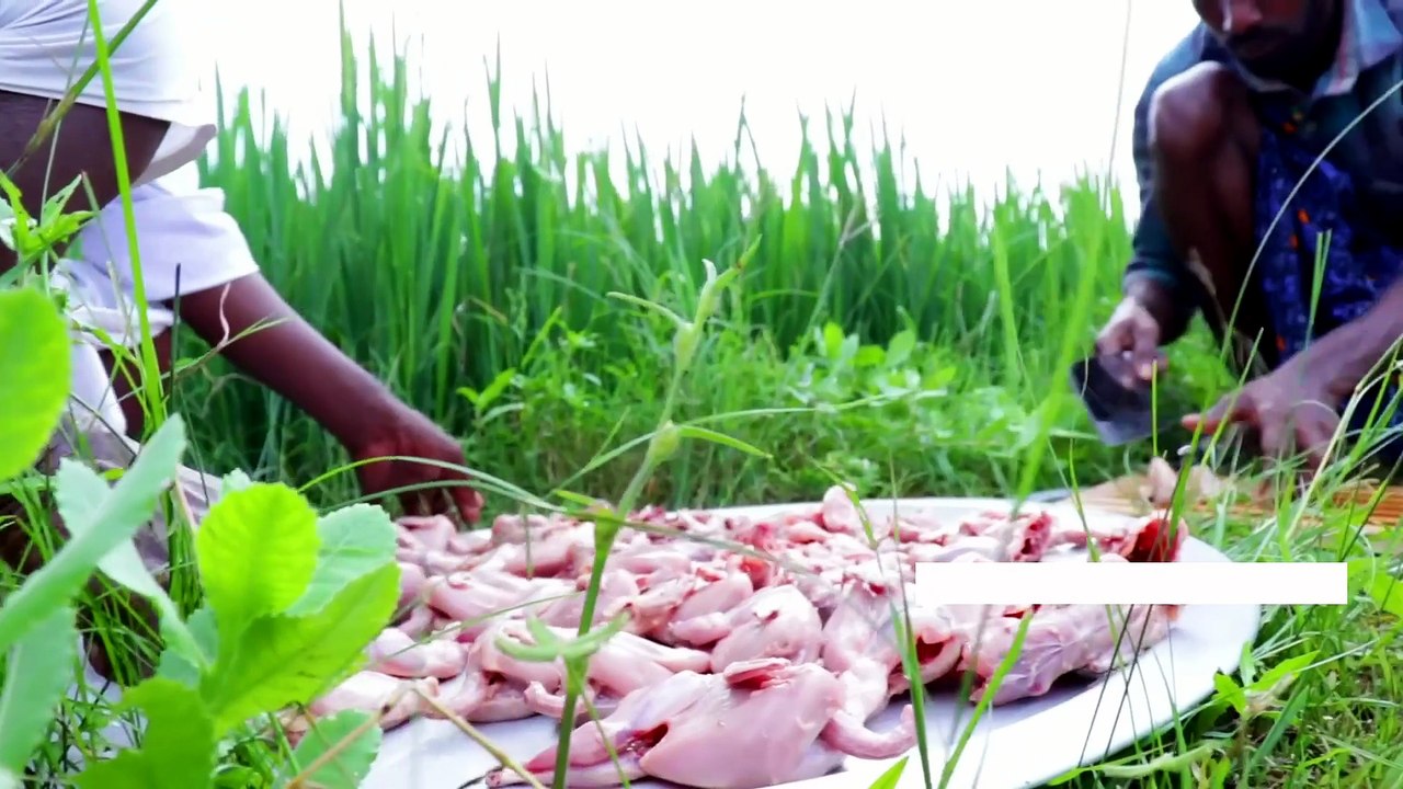 ANGRY BIRDS Curry - Quail Curry Cooking in Village - Tasty Village Food Recipe