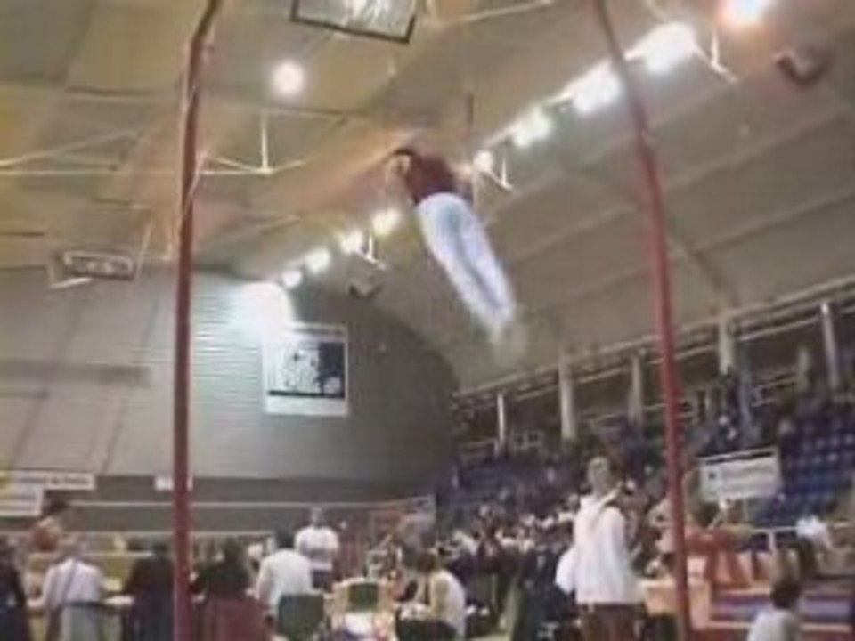 Yohann au anneaux au demi finale des coupes 2008