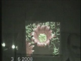 Şiir dinletisi 2008-1