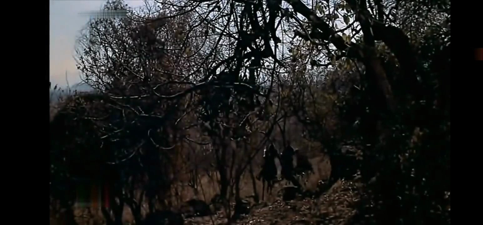 La Valle Dei Disperati-The Beast Of Hollow Mountain (Film Completo) del 1956 [ITA]