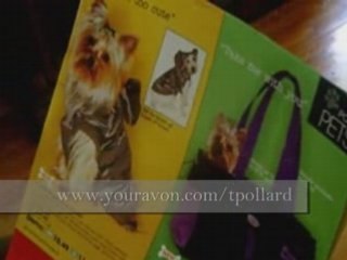 Clothing For Your Pets - Tiny Goes Shopping in the Avon Book