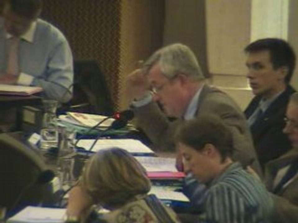 Conseil municipal d'Orléans, 19 juin 2008