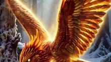 Rejecting the Phoenix, Taming the Dragon - FULL MOVIES ENGLISH SUB