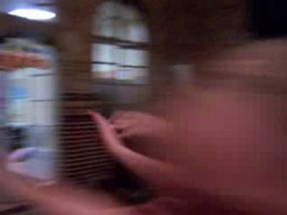 Concert de psigma le 27 juin 2008