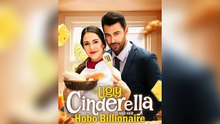 Ugly Cinderella and Her Hobo Billionaire EPISODE