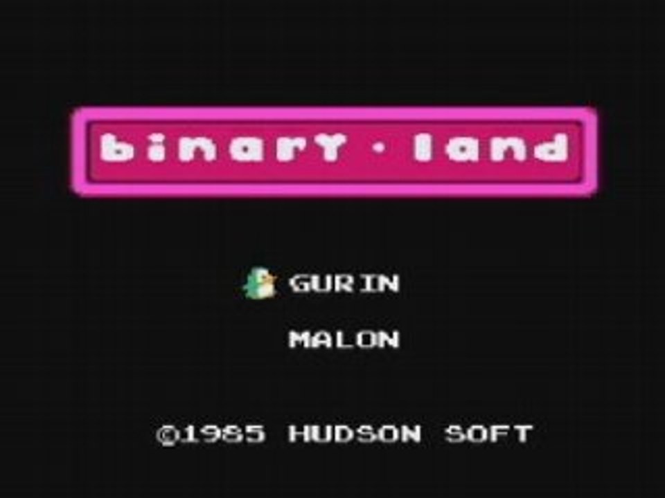 Binary Land (NES)