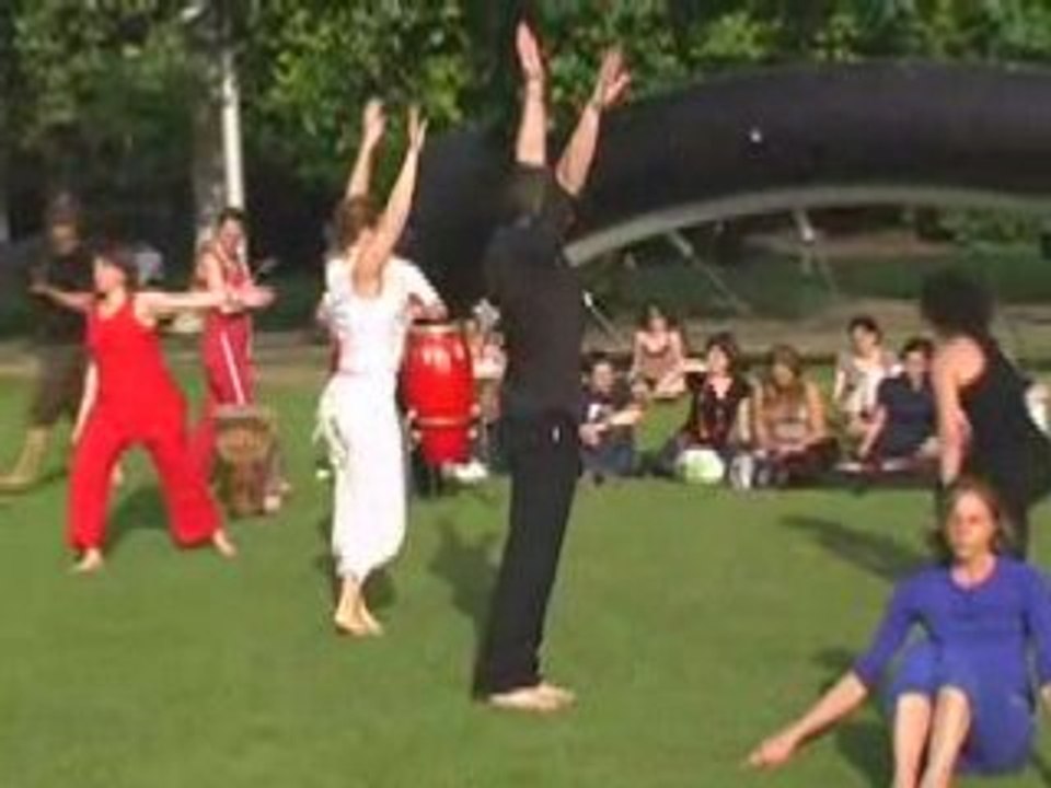 Danse au parc de la villette le 29 juin 2008