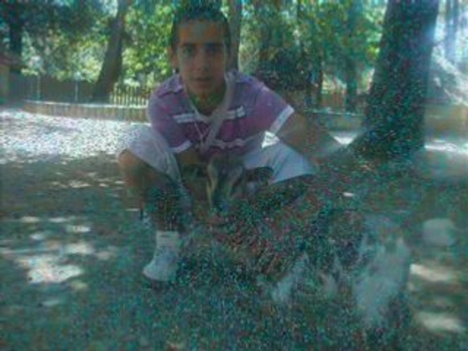 Zoo