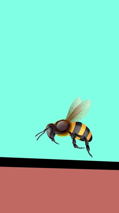 Inside a Bee's Stinger – Explained in Seconds! 🐝