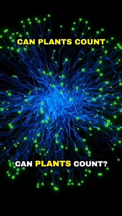 Can Plants Count? 🌱🤯