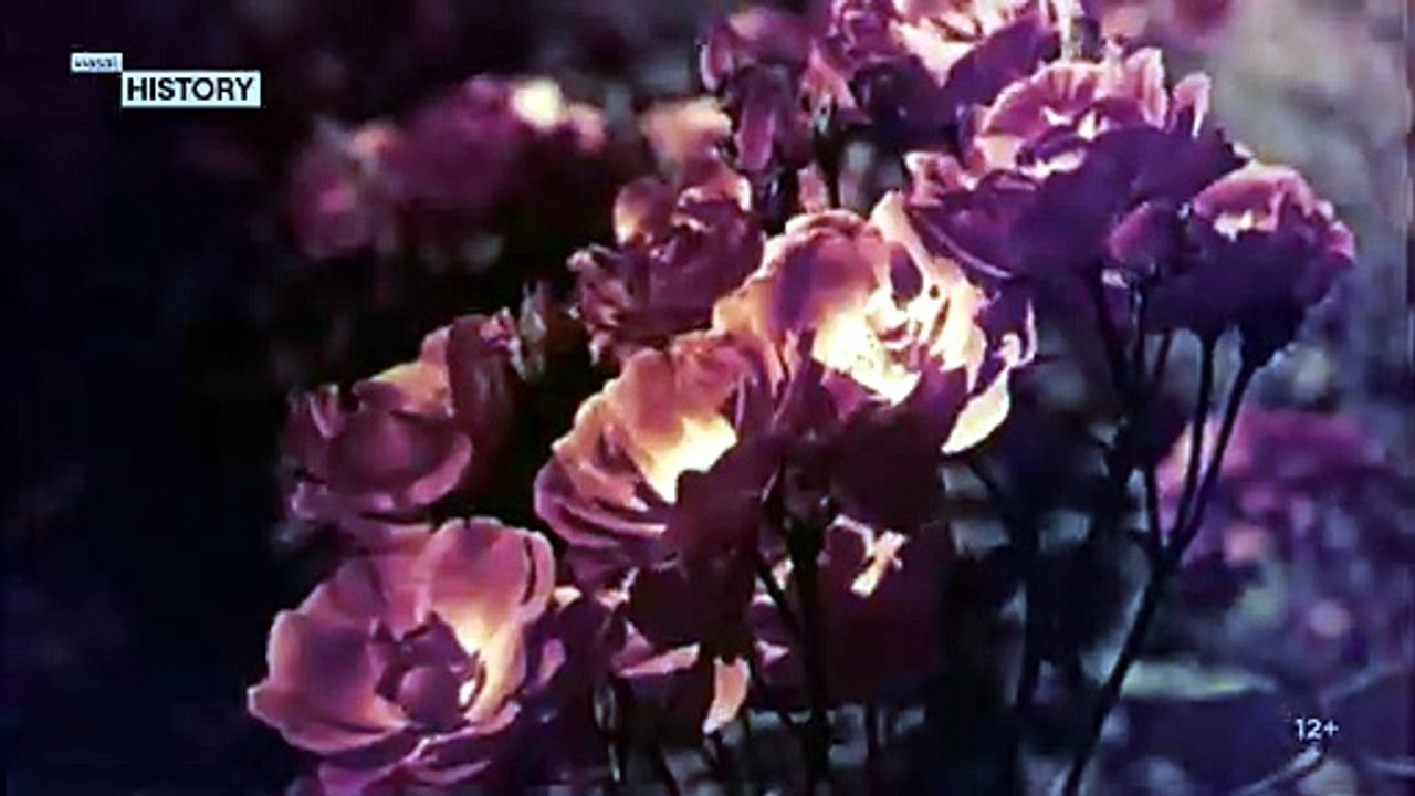 The Third Reich In Private S01E04