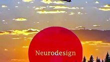 The Founder Mihaela Pleșca' Juror & Winner Awards Under the Neurodesign' Sun From the Business Environment
