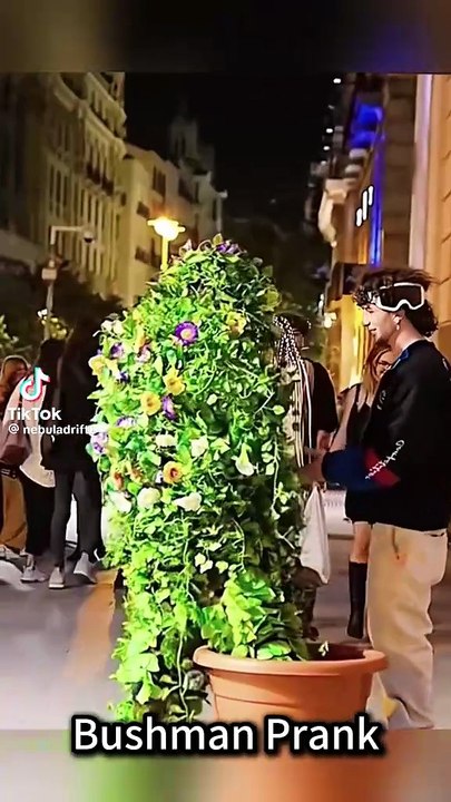 Trees 🌴 prank in public