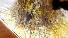 Allongement du pénis +229 57193023