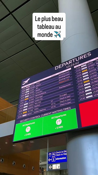 Le plus beau tableau au monde ✈️ Mieux que la Joconde. #luxair #findel #avion.mp4