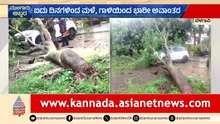 ಬೆಳಗಾವಿಯಲ್ಲಿ ಧಾರಾಕಾರ ಮಳೆ; ಕಾರಿನ ಮೇಲೆ ಉರುಳಿದ ಮರ | Belagavi Rain | Karnataka Rain Updates
