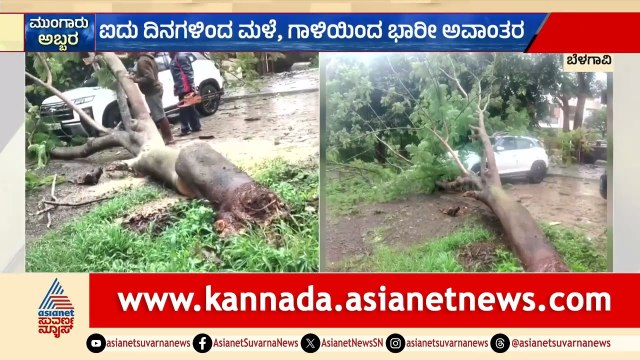 ಬೆಳಗಾವಿಯಲ್ಲಿ ಧಾರಾಕಾರ ಮಳೆ; ಕಾರಿನ ಮೇಲೆ ಉರುಳಿದ ಮರ | Belagavi Rain | Karnataka Rain Updates
