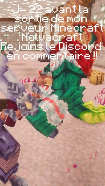 Jour 22 avant la sortie de mon serveur minecraft !