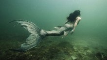 Mermaids Caught On Camera!