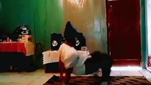 B boy