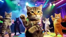 fanny Dance of Entertainment