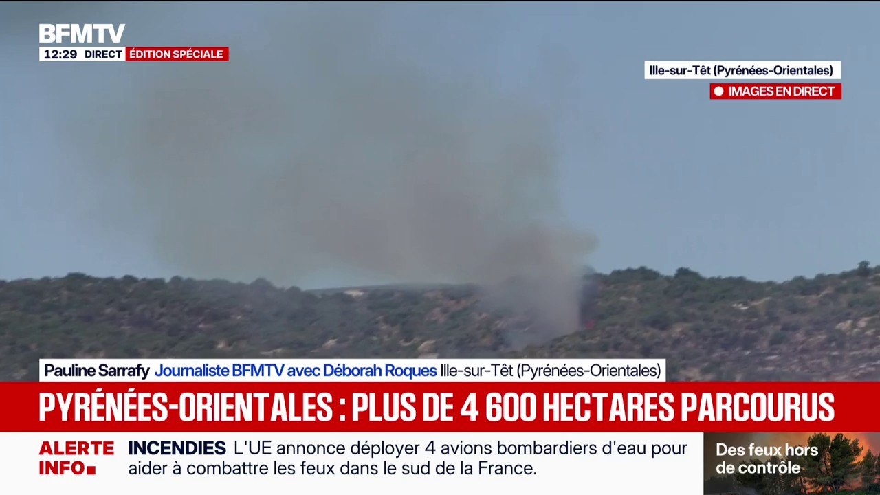 Incendies dans les Pyrénées-Orientales: des rep...
