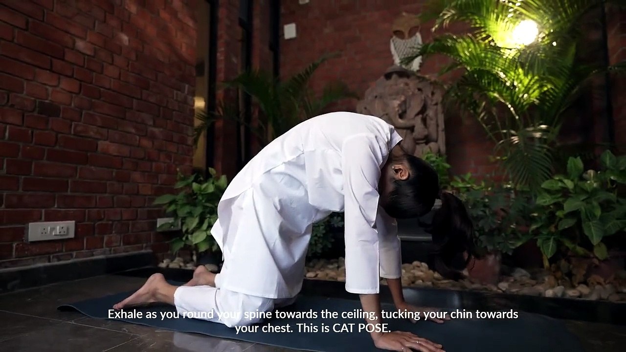 Marjariasana (Cat Stretch Pose) – Vata Balancing Yoga Flow