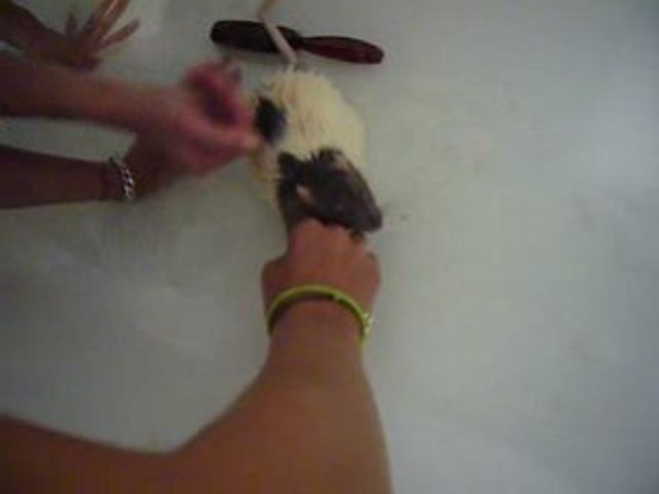 Bain