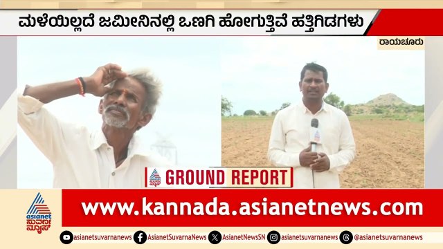ಮುಂಗಾರು ಮಳೆ ಅಭಾವ: ಒಣಗಿ ಹೋದ ನೂರಾರು ಎಕರೆ ಹತ್ತಿ ಬೆಳೆ | Raichur | Cotton Crop | Rain Delay |Suvarna News