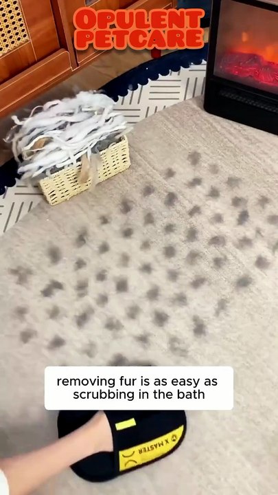 Pet Hair Removal Mitt