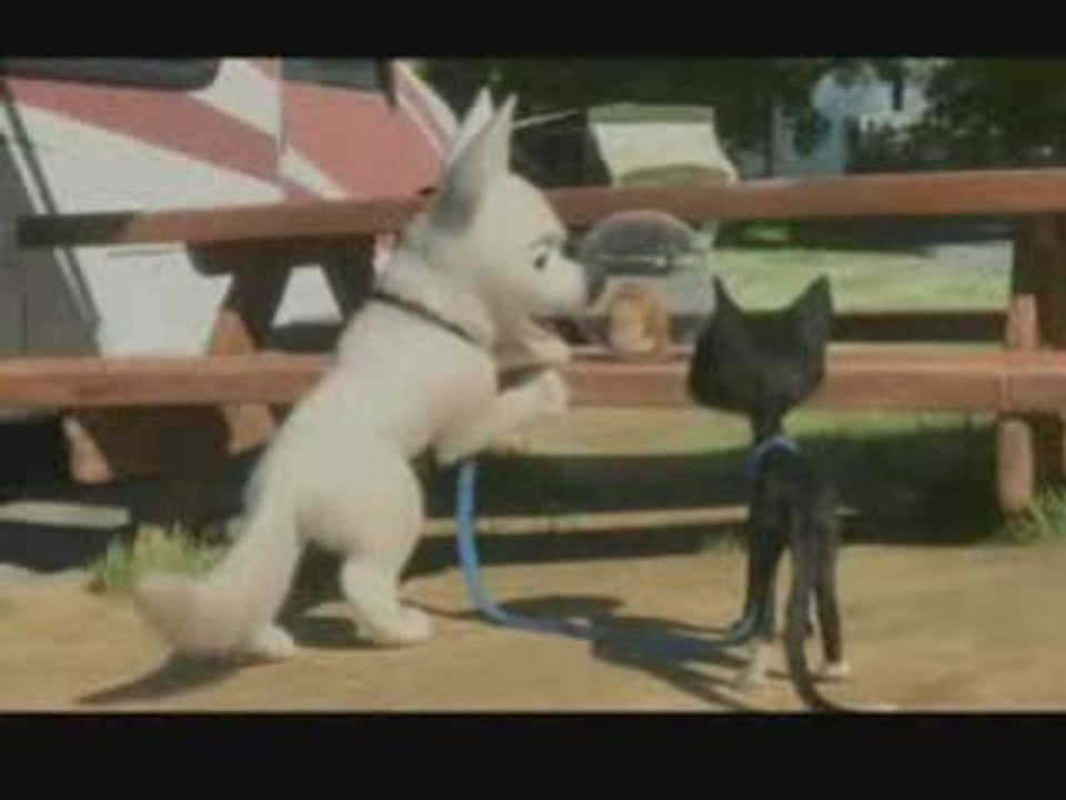 Bolt 2008 - www.bradvest.ws