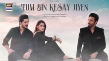 Tum_Bin_Kesay_Jiyen_Episode_11