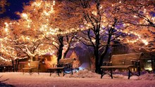 Musique Relaxante _ Forêt Enneigée & Montagnes Paisibles ❄️ Musique pour Dormir, Méditer Anti-Stress