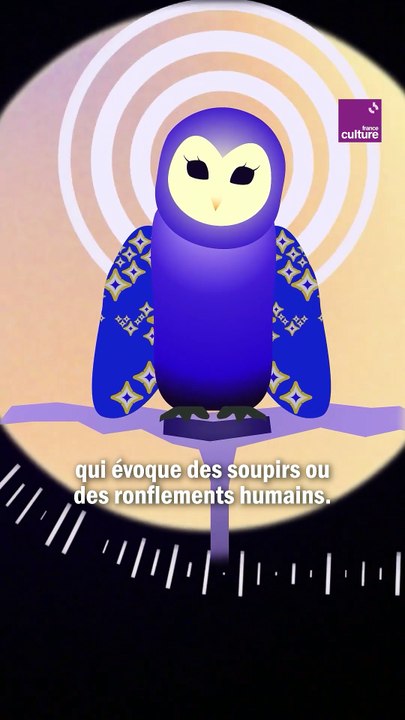 La chouette - Série d'été