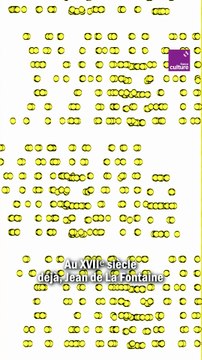 La mouche - Série d'été