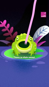 Le crapaud - Série d'été