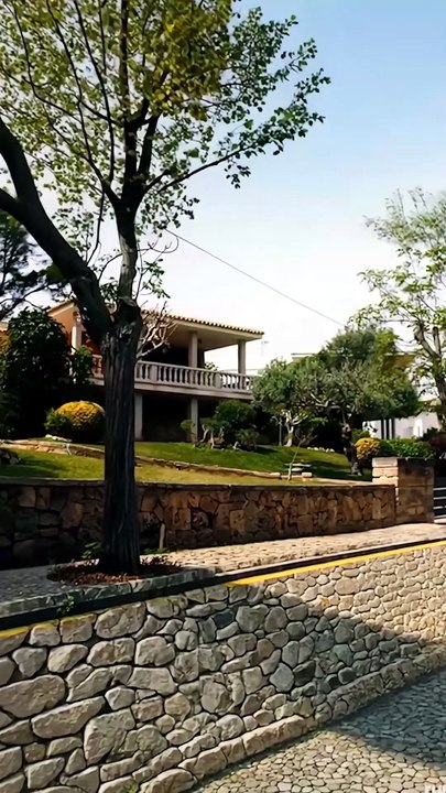 El CEO multimillonario ocultó su identidad y se disfrazó solo para salvar a su amada!