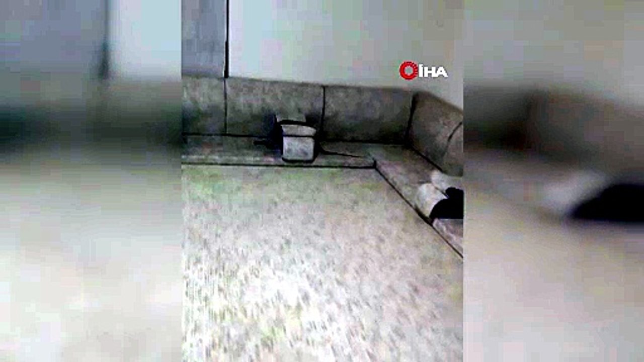 Misafir Beklerken Hayatlarının Şok Oldular!