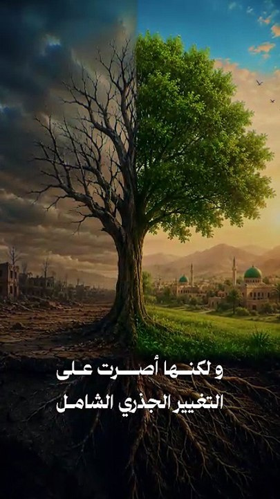 بوصلة الغرباء