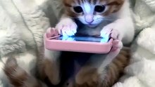 #FUNNY_VIRAL_VIDEO