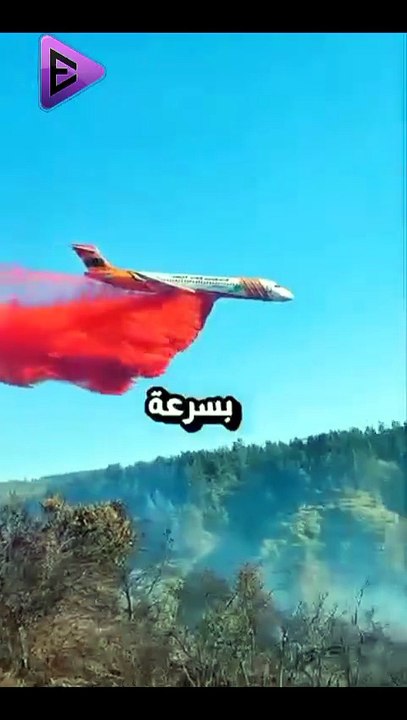 البلاديوم | ما حقيقة السائل الوردي المتساقط من السماء؟ 🤯 #elpladum #اكسبلور #ترند #بحر #البلاديوم