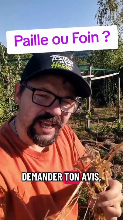 Paille ou Foin pour le potager ? #jardinage #potager #foin #paillage